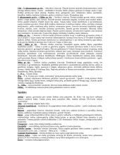 Istorija. Viskas, ko reikia egzaminui 19 puslapis