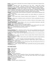 Istorija. Viskas, ko reikia egzaminui 20 puslapis