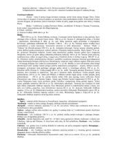 Istorija. Viskas, ko reikia egzaminui 7 puslapis