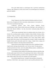 Meno kūrinio analizė: Mikelandželas "Paskutinysis teismas" 7 puslapis