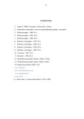 Turizmas Norvegijoje 11 puslapis