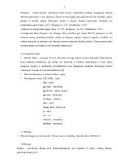 Turizmas Norvegijoje 5 puslapis