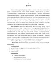 Zarasų rajono apgyvendinimo paslaugos ir kokybė 2 puslapis