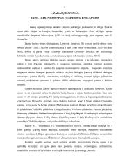 Zarasų rajono apgyvendinimo paslaugos ir kokybė 3 puslapis