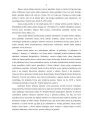 Zarasų rajono apgyvendinimo paslaugos ir kokybė 4 puslapis