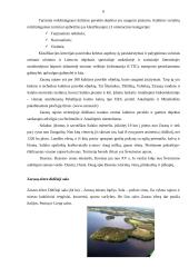 Zarasų rajono apgyvendinimo paslaugos ir kokybė 5 puslapis