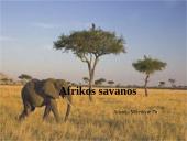 Afrikos savanos