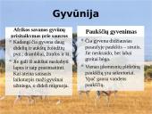 Afrikos savanos 11 puslapis