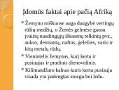 Afrikos savanos 13 puslapis