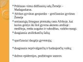 Afrikos savanos 14 puslapis