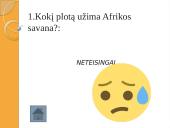 Afrikos savanos 18 puslapis