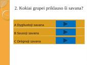 Afrikos savanos 20 puslapis