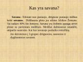 Afrikos savanos 3 puslapis