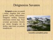 Afrikos savanos 4 puslapis