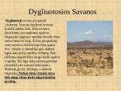 Afrikos savanos 6 puslapis