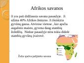 Afrikos savanos 8 puslapis