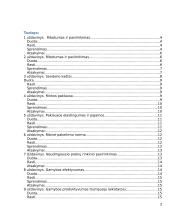 10 mikroekonomikos uždavinių 2 puslapis