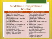 Naujųjų amžių santrauka 12 puslapis