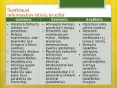 Naujųjų amžių santrauka 10 puslapis