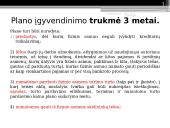 Netinkamo asmeninių finansų valdymo pasekmės 12 puslapis