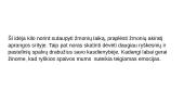 Reklamos kampanijos strategija 8 puslapis