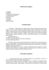 Šaltkalvystės teorija 16 puslapis