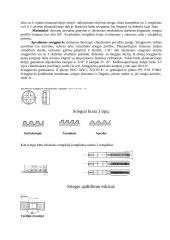 Šaltkalvystės teorija 4 puslapis