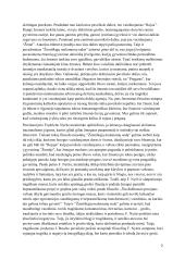 Jeronimo Bošo paveikslo ,,Žemiškųjų malonumų sodas” esė analizė pagal Frydrichą Nyčę 2 puslapis