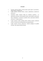 Žodinio–loginio mąstymo tyrimas 11 puslapis