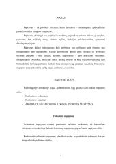Žodinio–loginio mąstymo tyrimas 3 puslapis