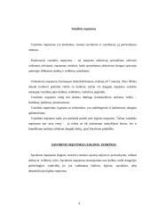 Žodinio–loginio mąstymo tyrimas 4 puslapis