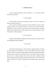 Žodinio–loginio mąstymo tyrimas 6 puslapis