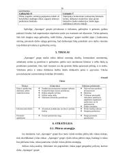 Įmonės strateginis planas: APB "Apranga" 15 puslapis