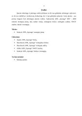 Įmonės strateginis planas: APB "Apranga" 2 puslapis