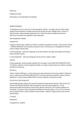 Embriologijos paskaitų medžiaga 3 puslapis