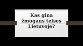 Kas gina žmogaus teises Lietuvoje?  2 puslapis