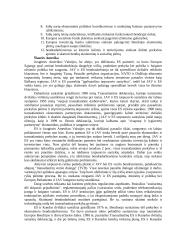 Europos anglies ir plieno bendrija 2 puslapis