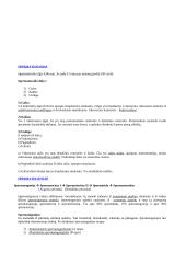 Išsamūs histologijos pradmenys 11 puslapis