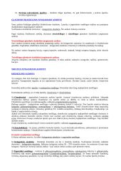 Išsamūs histologijos pradmenys 3 puslapis