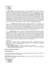 Išsamūs histologijos pradmenys 4 puslapis