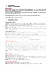 Išsamūs histologijos pradmenys 7 puslapis