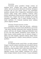 Juozas Aputis 1936-2010 2 puslapis