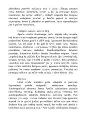 Juozas Aputis 1936-2010 5 puslapis