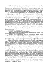 Moliuskai ir jų gyvenimas 4 puslapis