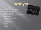 Kas yra fizika? 2 puslapis