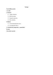 Kompozitinės medžiagos, naudojamos aviacijoje  2 puslapis