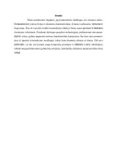 Kompozitinės medžiagos, naudojamos aviacijoje  11 puslapis