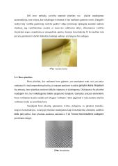 Kompozitinės medžiagos, naudojamos aviacijoje  7 puslapis