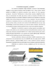 Kompozitinės medžiagos, naudojamos aviacijoje  10 puslapis