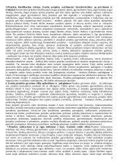 Projektų valdymo medžiaga  2 puslapis